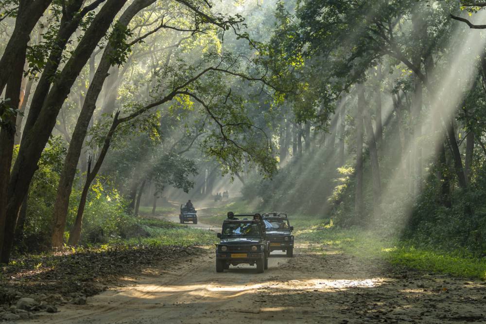 location de voiture Guyane