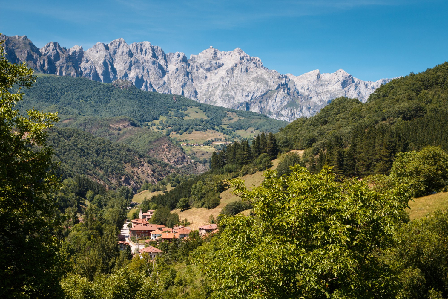 Jolie vue sur les montagnesen été