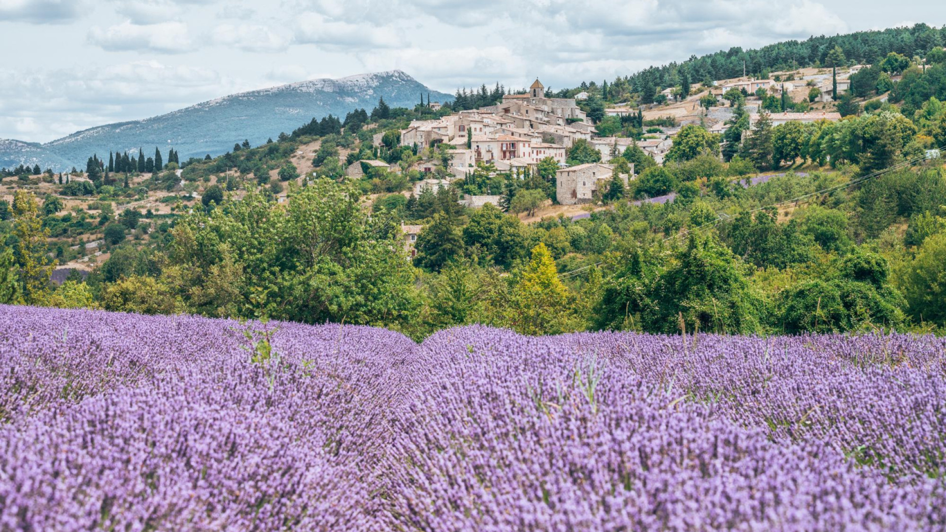 Où partir en juin en France : les destinations à découvrir avant la foule
